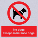 no-dogs-except-assistance-dogs~
